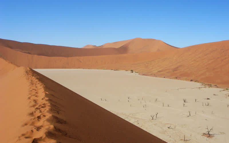 Dead Vlei